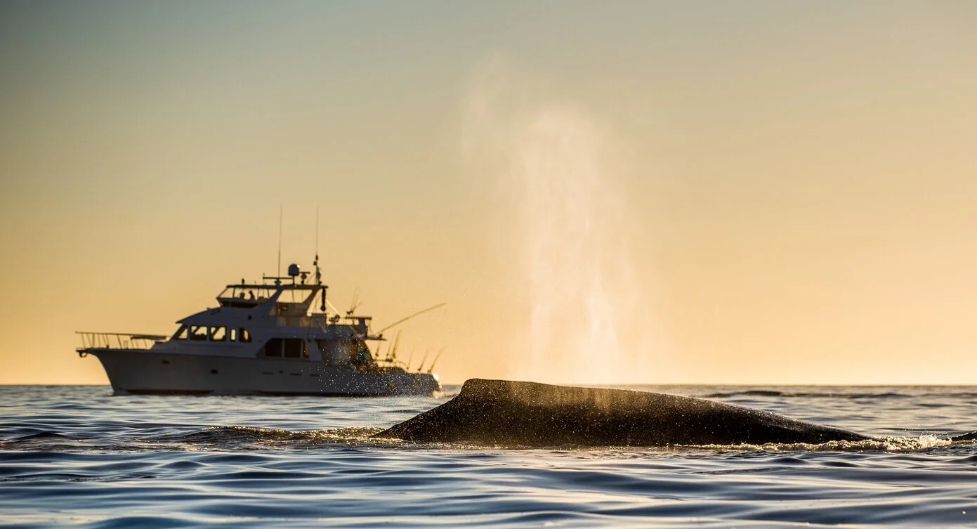 A boat on open water at sunset